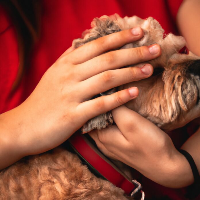 Healing through Connection: The Bond between Pets and Their Humans